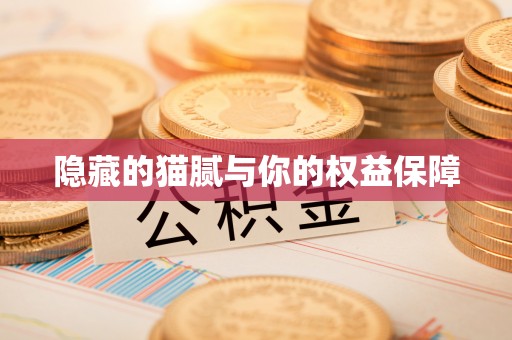 东势隐藏的猫腻与你的权益保障
