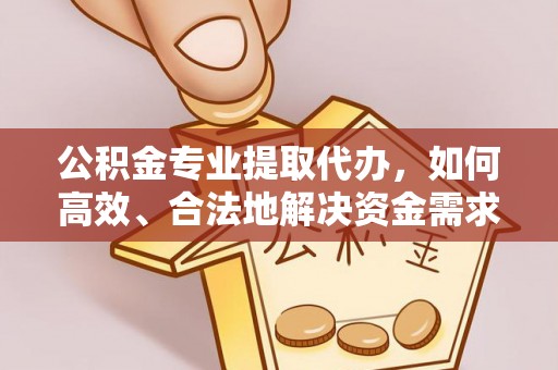 东势公积金专业提取代办，如何高效、合法地解决资金需求？