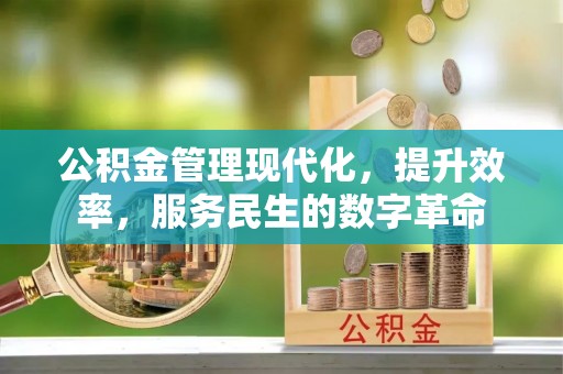 东势公积金管理现代化，提升效率，服务民生的数字革命